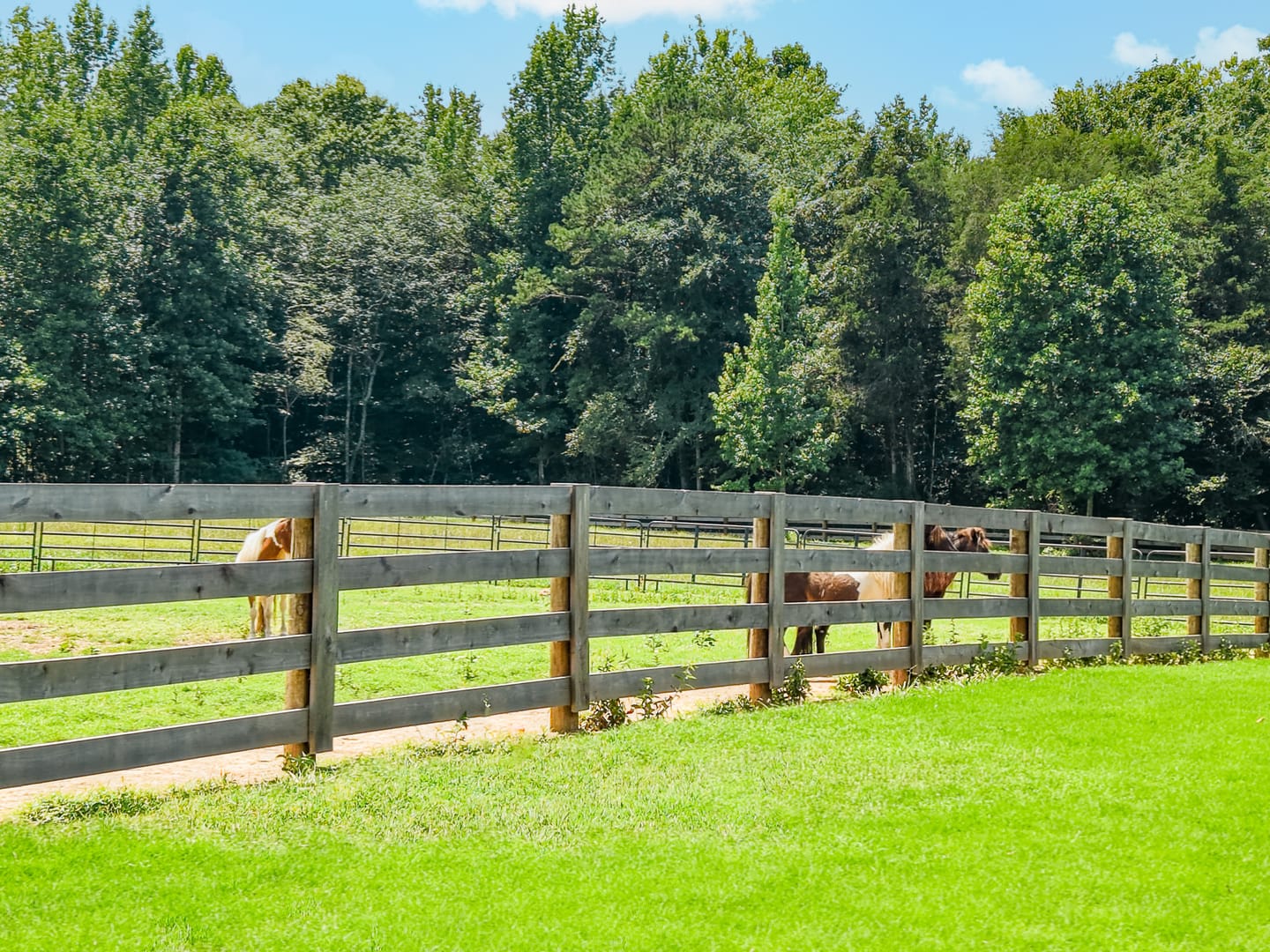 Four-board fence along the pasture with horses grazing beyond